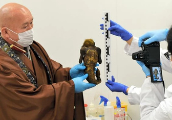 Японские ученые исследуют ДНК мумии-русалки с телом обезьяны и рыбьим хвостом