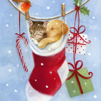 Аватарка DollDagga