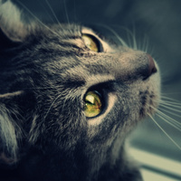 Аватарка oksana.sheveleva.9393