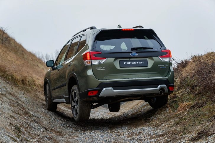 Subaru Forester — хищник средней полосы