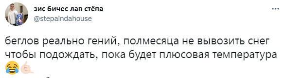 Лучшие шутки про неуборку снега в Петербурге