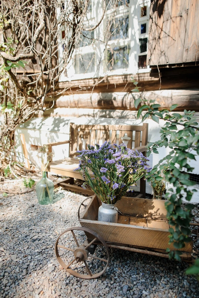 В Саду Ракицкого в Тарусе пройдет фестиваль цветов | Источник: tarusagarden.ru