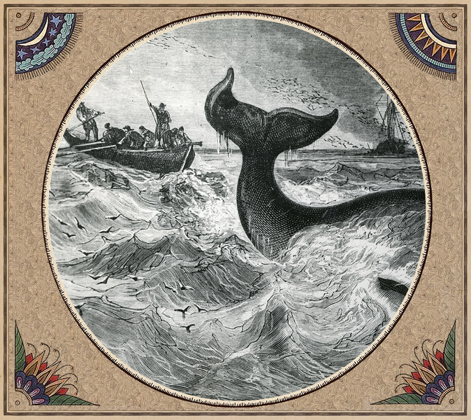 Китовая аллея: все о древнем святилище Чукотки на самом краю мира