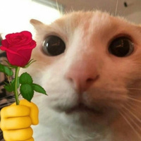 Аватарка алёна