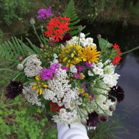 Аватарка Natali