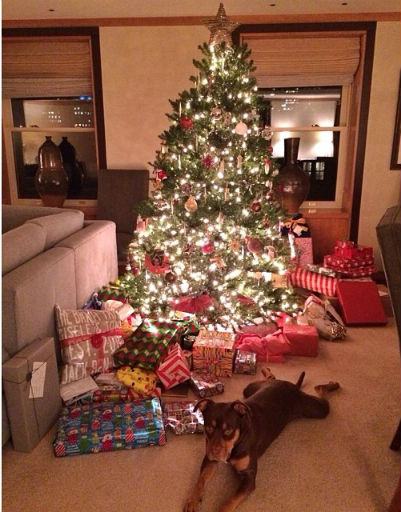 Модель Жизель Бундхен похвасталась красивой елкой | Источник: "Инстаграм" (запрещенная в России экстремистская организация)