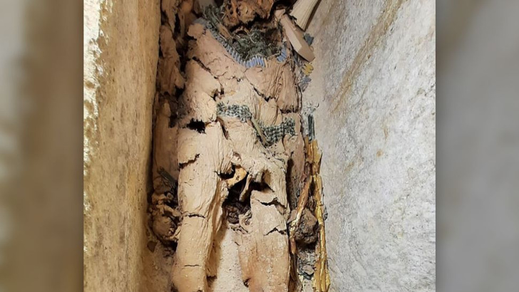 Не стали бинтовать, но накрыли драгметаллом: в Египте найдена старейшая из «золотых мумий»