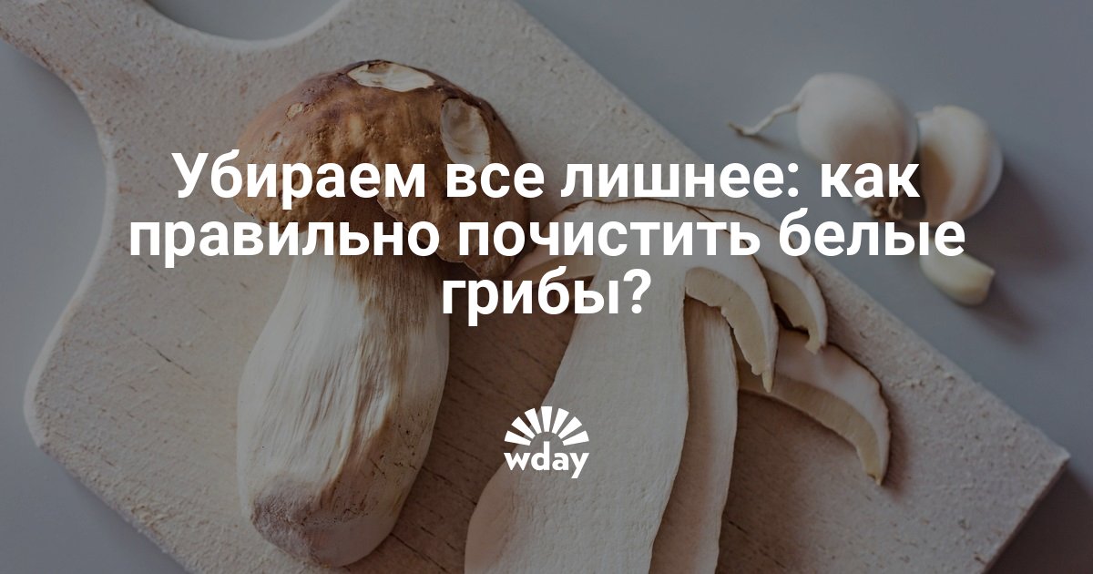 Как чистить боровики. Как чистить боровики