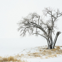 Аватарка Имя