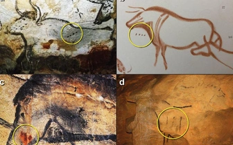 Не просто точки и линии: что означают отметки на рисунках, которые созданы 37 тысяч лет назад?