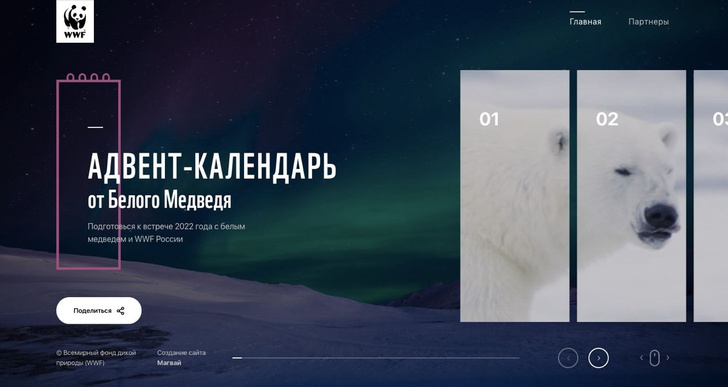 WWF* России представил онлайн адвент-календарь в защиту белого медведя