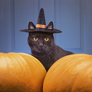 Quiz: Как хорошо ты знаешь историю Хэллоуина?