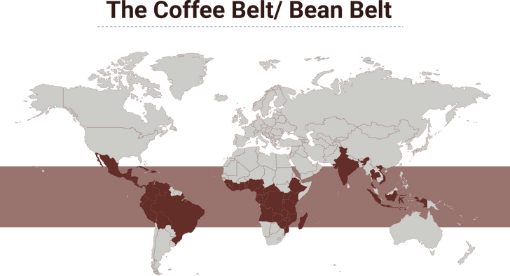 Кофейный пояс, пыльный котел, банановая республика: расшифровываем 7 географических метафор