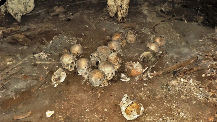Кости напоказ: в Мексике нашли 150 беззубых черепов, оставшихся от жуткого обряда цомпантли