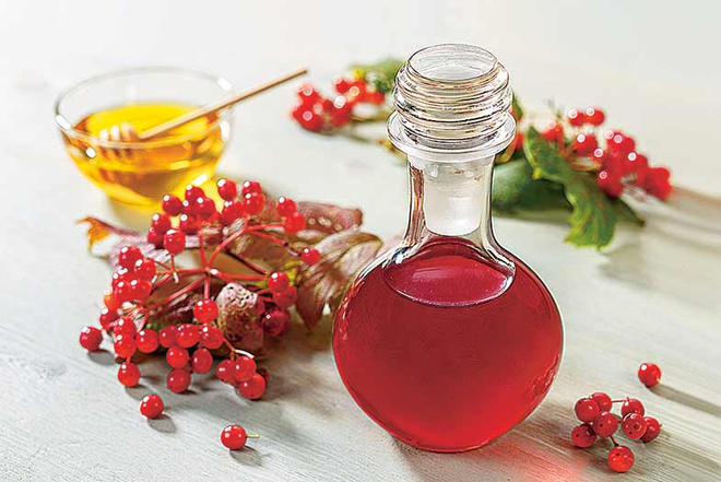 Сироп из калины с медом Сироп из калины с медом
