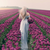 Аватарка Дилафрус