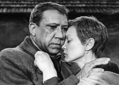 Звезды «20 дней без войны»: забвение Кононова и Овчинниковой, лейкемия Гринько, травля Ахеджаковой
