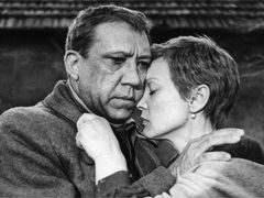 Звезды «20 дней без войны»: забвение Кононова и Овчинниковой, лейкемия Гринько, травля Ахеджаковой