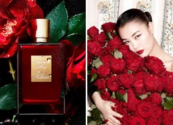 Аромат дня: A Kiss from a Rose от Kilian Paris