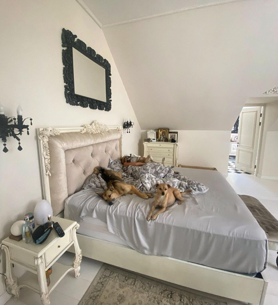 Лестницы из мрамора, много зеркал и собаки, которые спят в постели: как выглядит дом на Рублевке Ольги Орловой