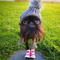 Аватарка 2309KaxA