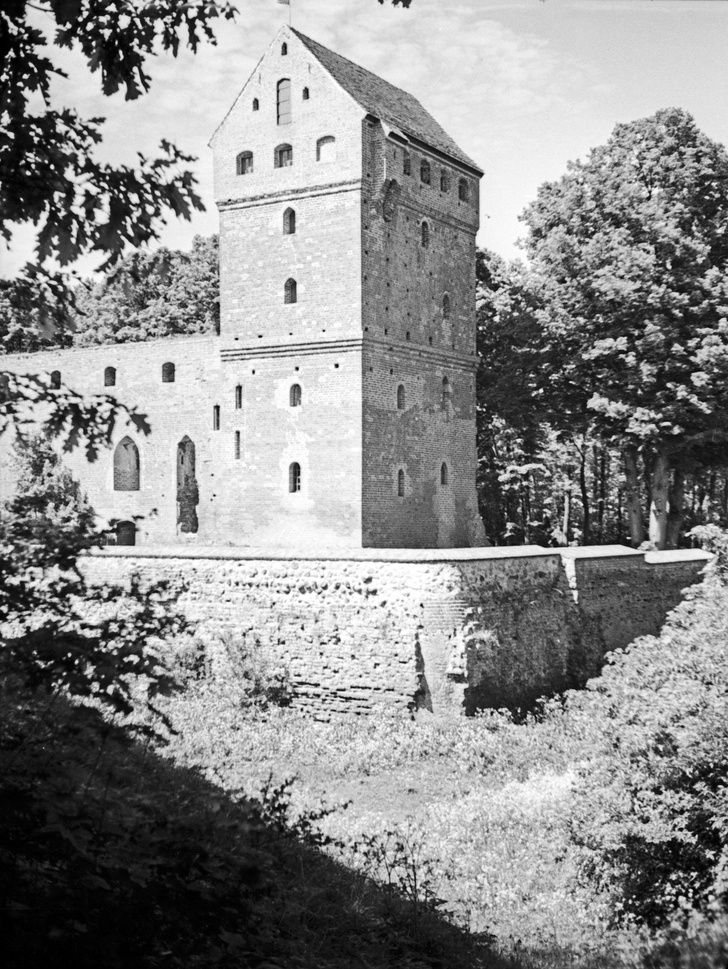800-летние руины: древний рыцарский замок под Калининградом начал принимать туристов