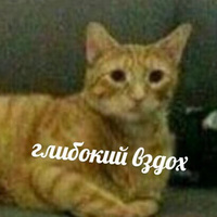 Аватарка chesencaadam
