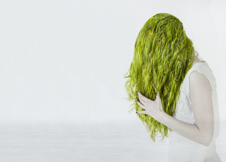 Зеленые волосы — фото