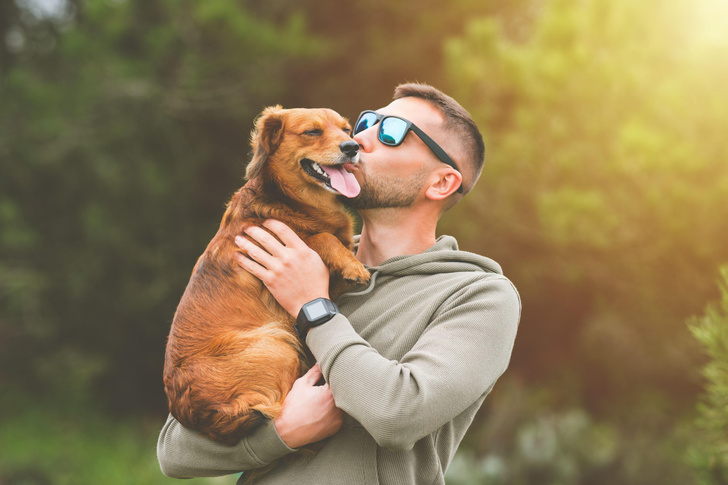 Смертельный поцелуй: ученые предупредили владельцев собак о неожиданной опасности