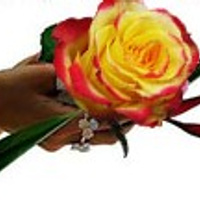 Аватарка Leyla