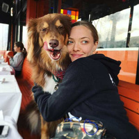 Amanda Seyfried Аманда Сейфрид