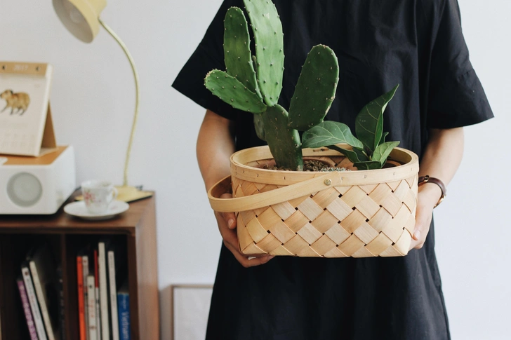 Источник: Lizzie/Unsplash