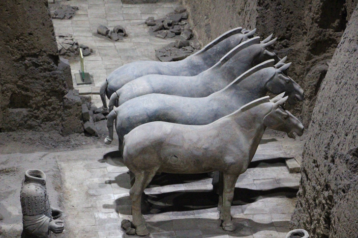 Секреты Терракотовой армии: 5 удивительных фактов о величайшей археологической находке
