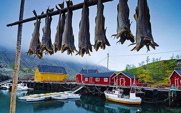 Норвегия: рыбацкие сети