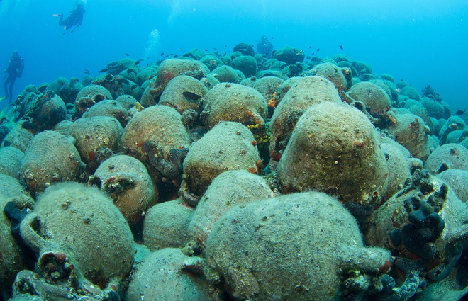 К чему снится дно моря, сонник К чему снится дно моря, сонник