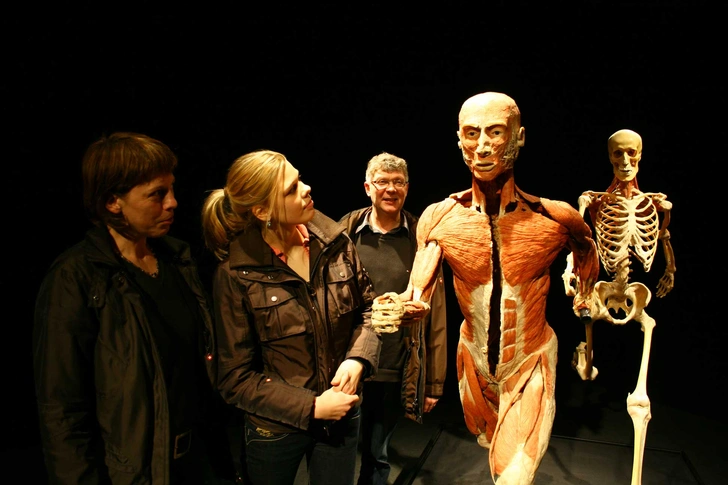 В Россию приезжает всемирно известная выставка BODY WORLDS