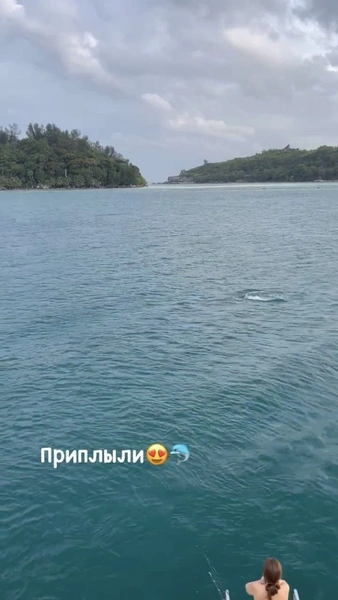 Дарья была рада увидеть дельфинов