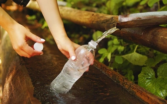 Можно ли отравиться родниковой водой?