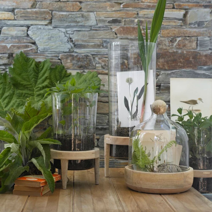 Растения в интерьере: 6 идей для создания мини-сада