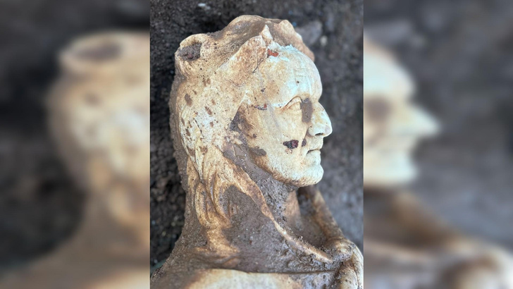 Император в шкуре льва: зачем Деций Траян повелел изобразить себя в образе Геркулеса?
