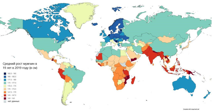 Карта: средний рост мужчин в разных странах мира. Как думаешь, Россия — страна карликов или великанов?