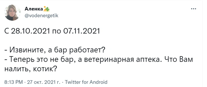 29 лучших шуток октября