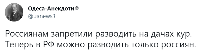 Лучшие шутки о запрете разводить кур в садах и огородах