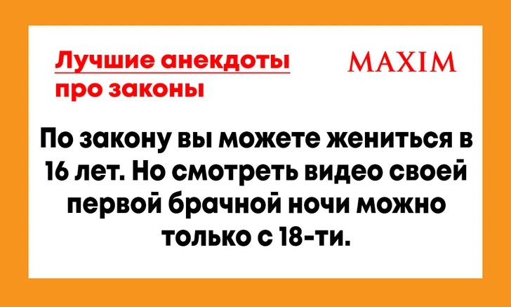 Анекдоты про законы | maximonline.ru