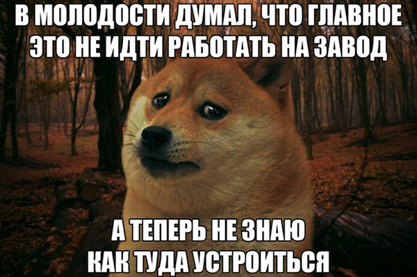 интернет-мемы о Тольятти, смешные картинки о Тольятти 