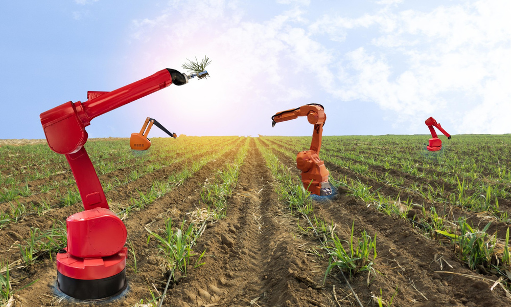 Успехи сельского хозяйства. Технологии в сельском хозяйстве. Роботы в растениеводстве. Манипулятор в сельском хозяйстве. Роботы в сельском хозяйстве.