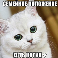 Аватарка Екатерина Белоусова