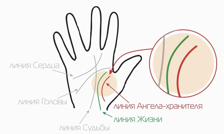 Как по линиям на ладони узнать, есть ли у вас ангел-хранитель