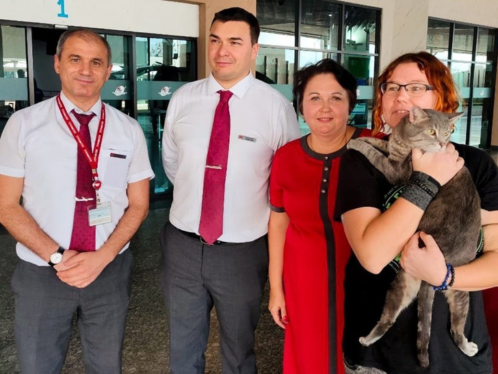 В аэропорту предложили усыпить: история спасения кота, которого не пускали в Таиланд
