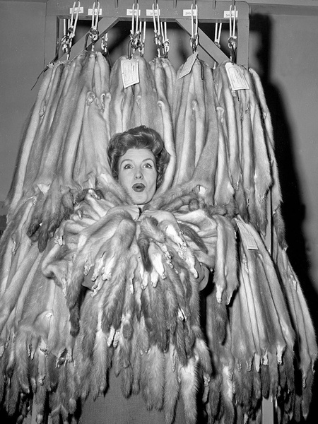Необычные конкурсы красоты: Королева норки 1960